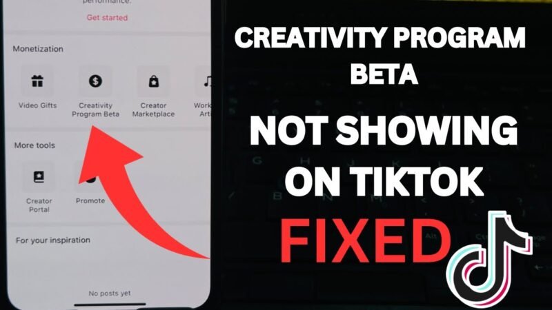 Earn Money with TikTok Beta Program
